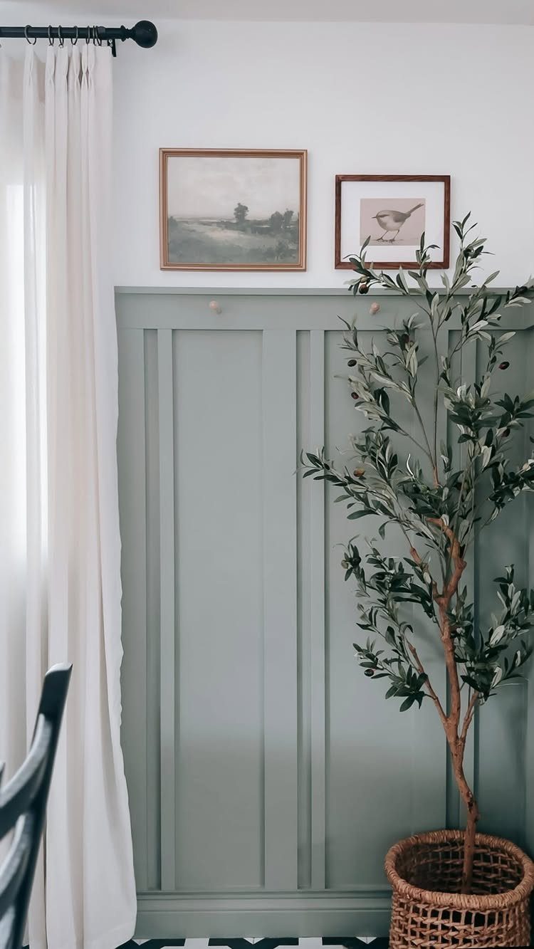 Sage green vertical wall paneling decorated with framed art and a potted olive tree.