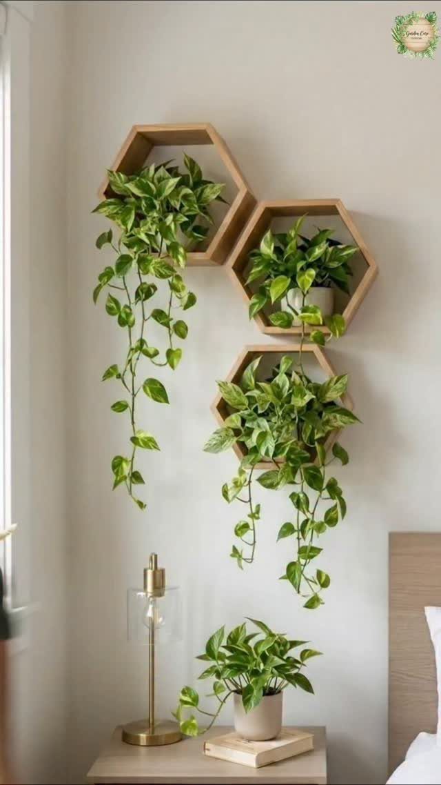 Three hexagonal wooden wall shelves holding green trailing plants against a white wall.
