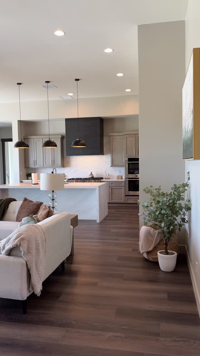 Dark wood plank flooring flows through a modern open-concept living room and kitchen area.
